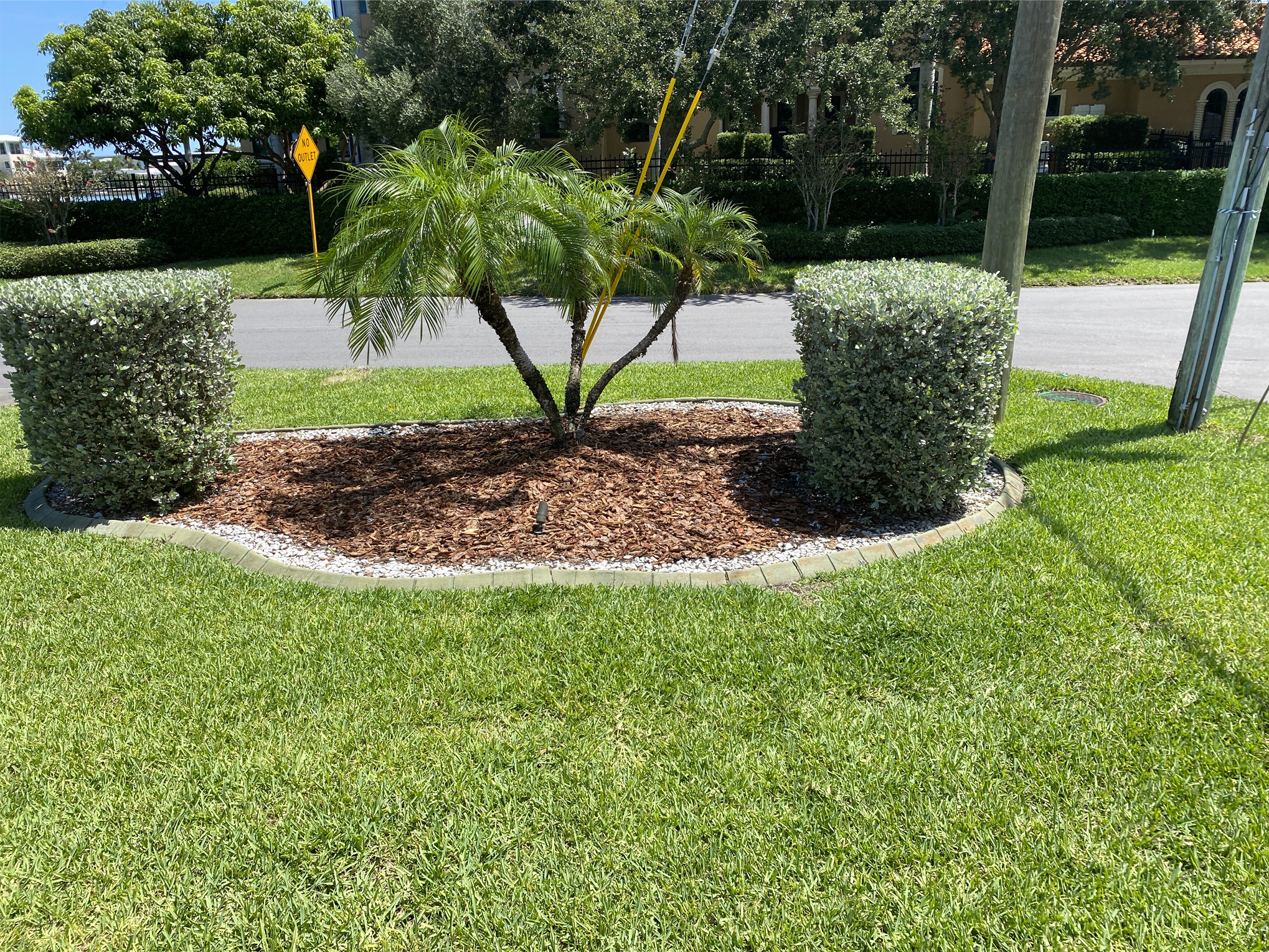 backyard.basil part 2 to this update!! #mulchglue #diygravelpath